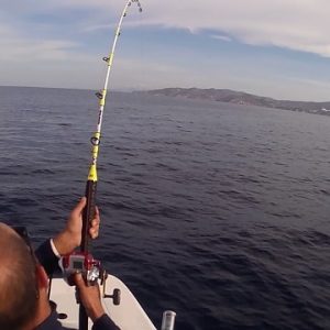 92261988 2878773692205895 1066335251682295808 n