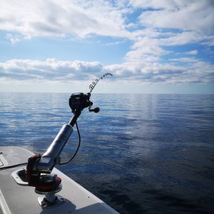 92362945 2878773632205901 7447950822907838464 n