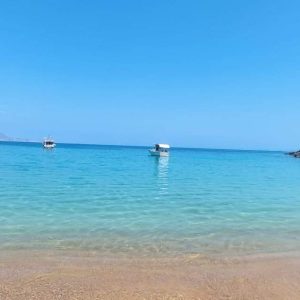 fb img 1666517187564